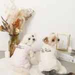 遠赤外線ギンガムチェックロンパースハーネス - Image 2