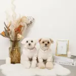 遠赤外線ギンガムチェックロンパースハーネス - Image 7