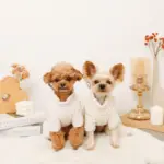 遠赤外線ギンガムチェックロンパースハーネス - Image 9