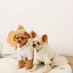 遠赤外線ギンガムチェックロンパースハーネス - Image 10