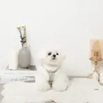 ツイードチェックファーハーネス+リードSET【名入れ刺繍対応】 - Image 4