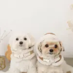 ムートンボアフードハーネス - Image 8