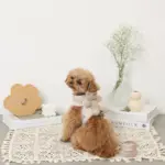 くまさんギンガムチェックおんぶハーネス+リードSET【名入れ刺繍対応】 - Image 2