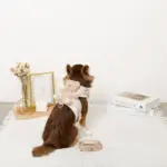 くまさんギンガムチェックおんぶハーネス+リードSET【名入れ刺繍対応】 - Image 4