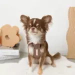 PUレザー×ワッフルハーネス - Image 3