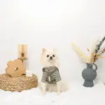 PUレザー×ワッフルハーネス - Image 5