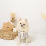 PUレザー×ワッフルハーネス - Image 6