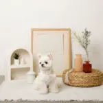 コットンレースフリルハーネス+リードSET【名入れ刺繍対応】 - Image 5