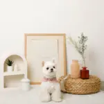 コットンレースフリルハーネス+リードSET【名入れ刺繍対応】 - Image 9