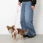 ボアチューリップ刺繍ハーネス+リードSET【名入れ刺繍対応】 - Image 10