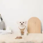 ニットボアハーネス+リードSET【名入れ刺繍対応】 - Image 5