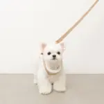 ニットボアハーネス+リードSET【名入れ刺繍対応】 - Image 8