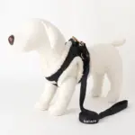 ニットボアハーネス+リードSET【名入れ刺繍対応】 - Image 9