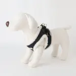 ニットボアハーネス+リードSET【名入れ刺繍対応】 - Image 10