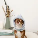 恐竜さんボアフードハーネス - Image 6