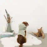 恐竜さんボアフードハーネス - Image 10