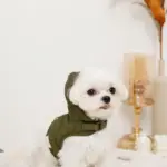 フード付きキルティングダウンライクハーネス+リードSET【名入れ刺繍対応】 - Image 3