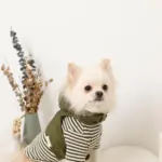 フード付きキルティングダウンライクハーネス+リードSET【名入れ刺繍対応】 - Image 5