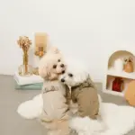 星柄キルティングロンパースハーネス - Image 5