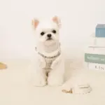 チェック柄ボアハーネス+リードSET【名入れ刺繍対応】 - Image 4