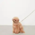 アニマル柄カラー＋リードSET【名入れ彫刻対応】 - Image 7