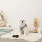 木馬刺繍入りコーデュロイボアハーネス+リードSET【名入れ刺繍対応】 - Image 5