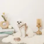 木馬刺繍入りコーデュロイボアハーネス+リードSET【名入れ刺繍対応】 - Image 6