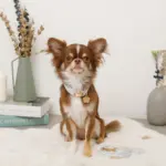 ギンガムチェックいちごフラワーチャームカラー+リードSET【名入れ彫刻対応】 - Image 3