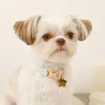 ギンガムチェックいちごフラワーチャームカラー+リードSET【名入れ彫刻対応】 - Image 6