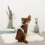 ギンガムチェックいちごハーネス - Image 2