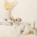 ギンガムチェックいちごハーネス - Image 8