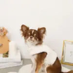 キルティングボアレースハーネス+リードSET【名入れ刺繍対応】 - Image 8