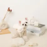 ビッグリボンファーハーネス+リードSET【名入れ刺繍対応】 - Image 4