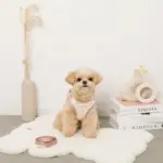 ボアハート刺繍ハーネス＋リードSET【名入れ刺繍対応】 - Image 4