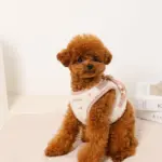 ボアハート刺繍ハーネス＋リードSET【名入れ刺繍対応】 - Image 8