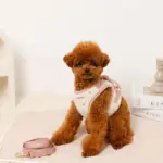 ボアハート刺繍ハーネス＋リードSET【名入れ刺繍対応】 - Image 9