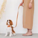 オーストレザーリード - Image 6