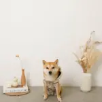 耳付きフードボアハーネス - Image 9