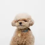 サークルチャームレザーカラー【名入れ彫刻対応】 - Image 6