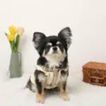 ミックスカラー反射ハーネス - Image 4