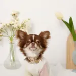 ミックスカラー反射カラー【名入れ彫刻対応】 - Image 4