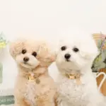 ミックスカラー反射カラー【名入れ彫刻対応】 - Image 5