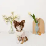 ミックスカラー反射カラー【名入れ彫刻対応】 - Image 10