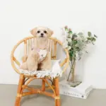 冷感いちご柄ハーネス+リードSET【名入れ刺繍対応】 - Image 6