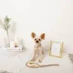 フラワーパラコードリード - Image 7