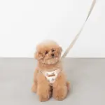 くまさんハーネス - Image 2