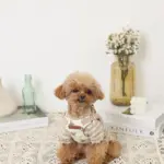 くまさんハーネス - Image 6