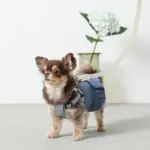 レザー×リネンハーネス - Image 6