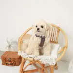 レザー×リネンハーネス - Image 8