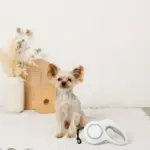 LEDロングリード5m - Image 2